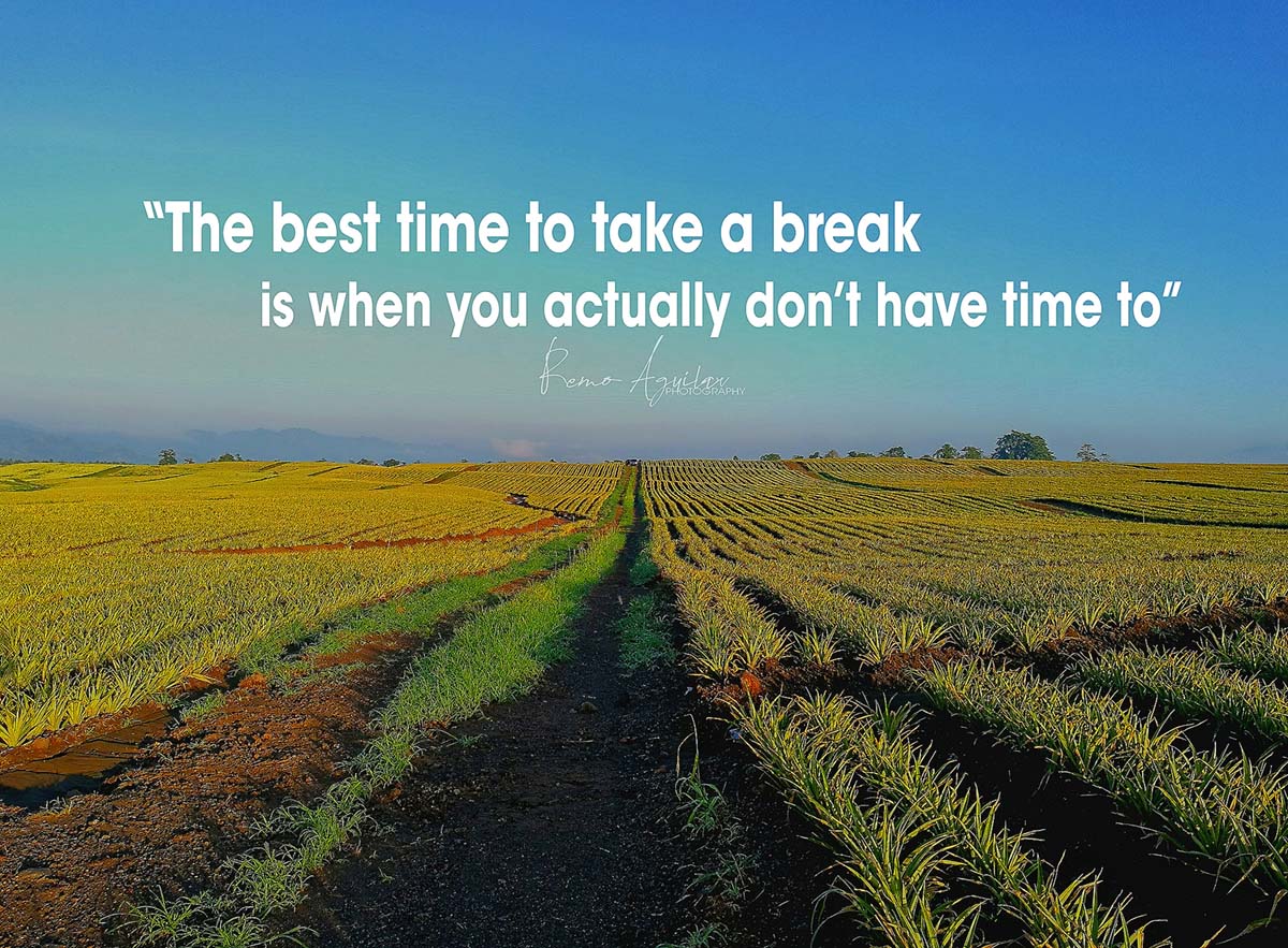 Take a Break