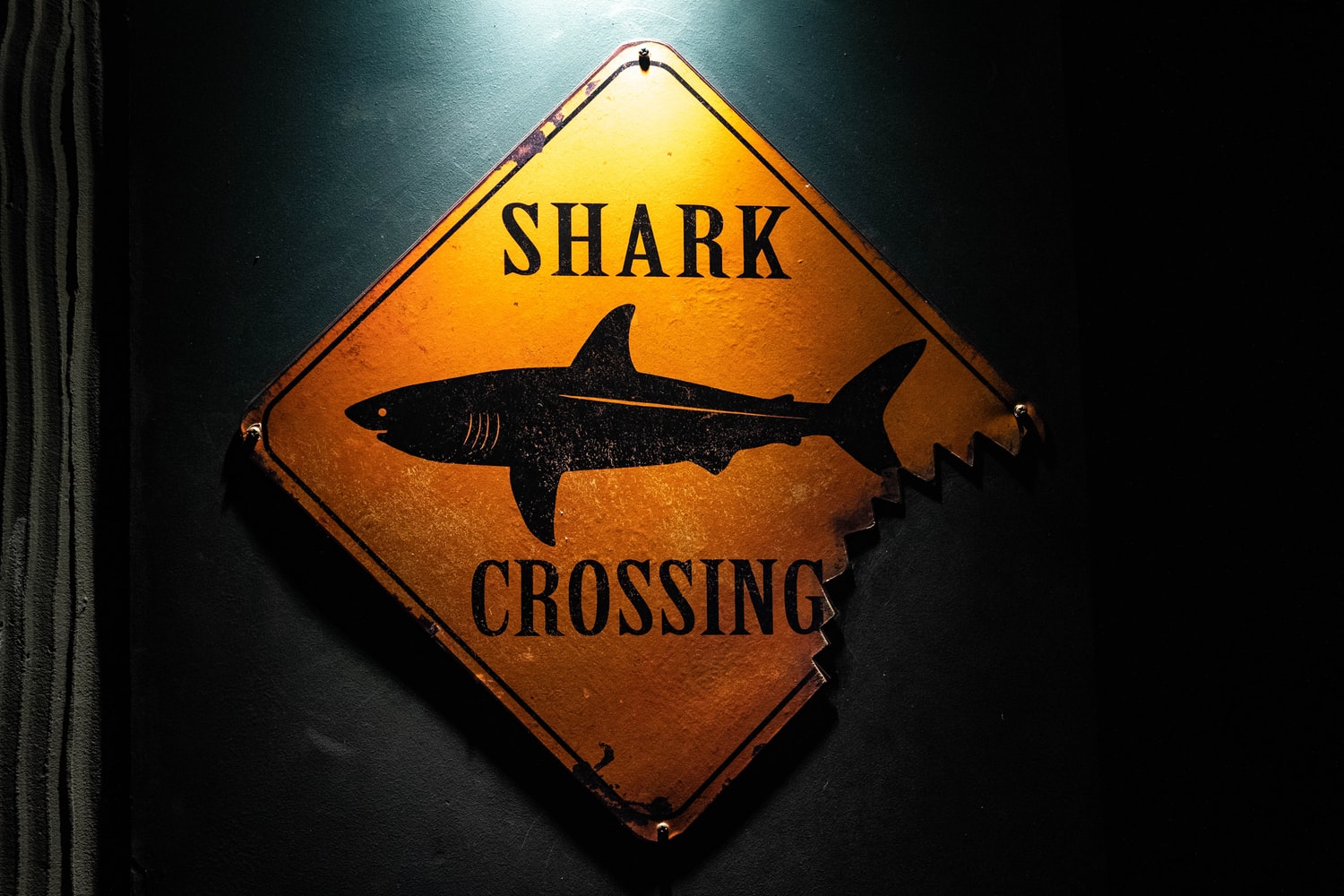 Shark crossing sign