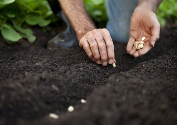 Pre-Seed: 5 Practical Things To Do When It’s Just You And A Startup Idea